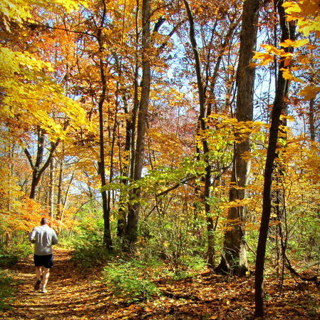 Cliff Cave Park | St. Louis Fall Hikes